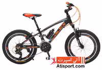 دوچرخه نوجوان Alex Victory 20 781