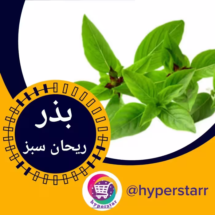بذر ریحان سبز 
