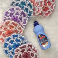 اسکاج گل کوکب