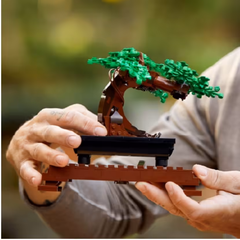 ست لگو سری کریتور اکسپرت طرح درخت بونسای کد 10281
Lego Creator Expert Bonsai Tree 10281