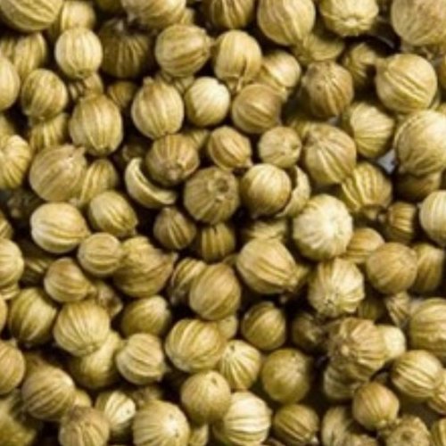 تخم گشنیز تازه و درجه یک(250 گرم)