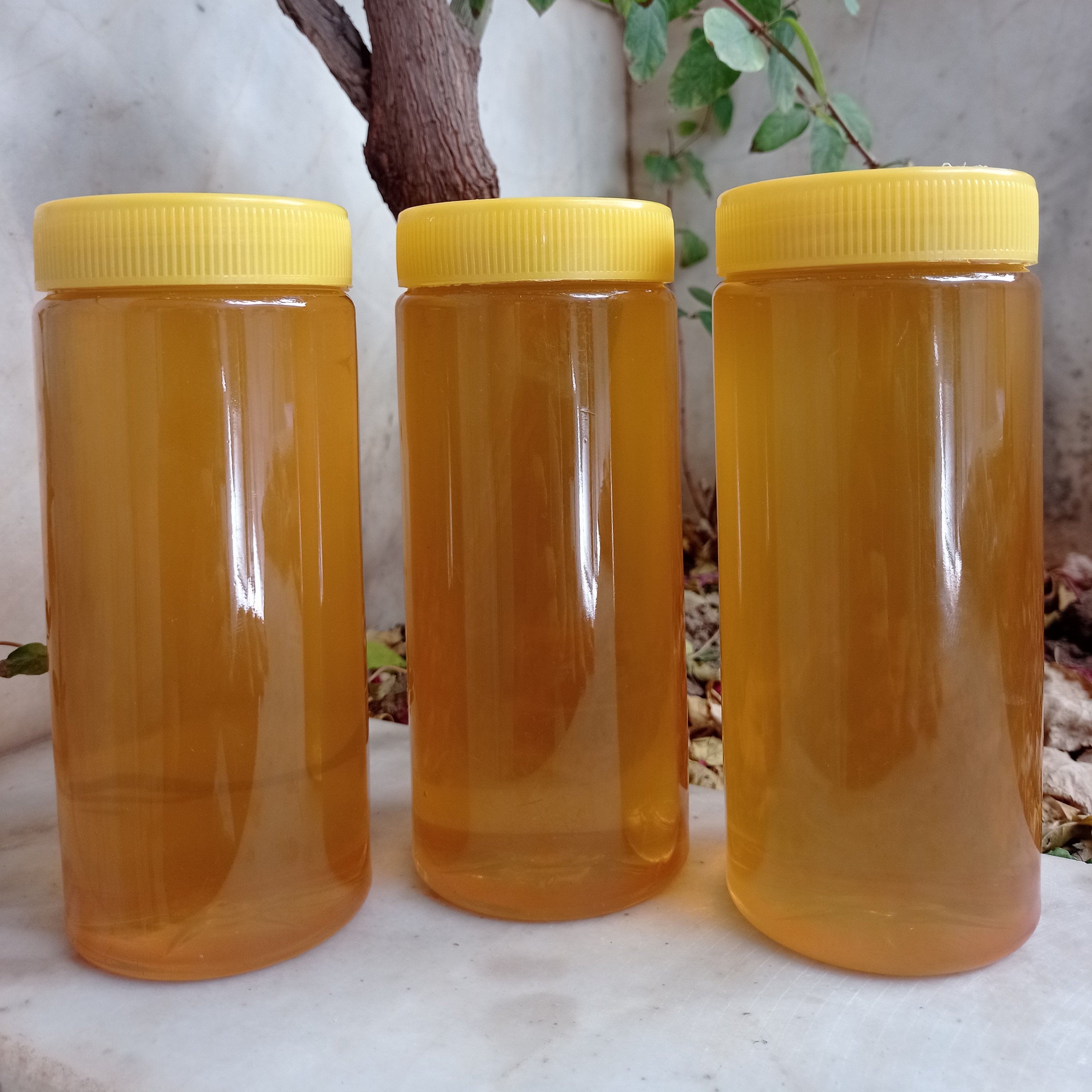 عسل طبیعی بهاره یک کیلویی