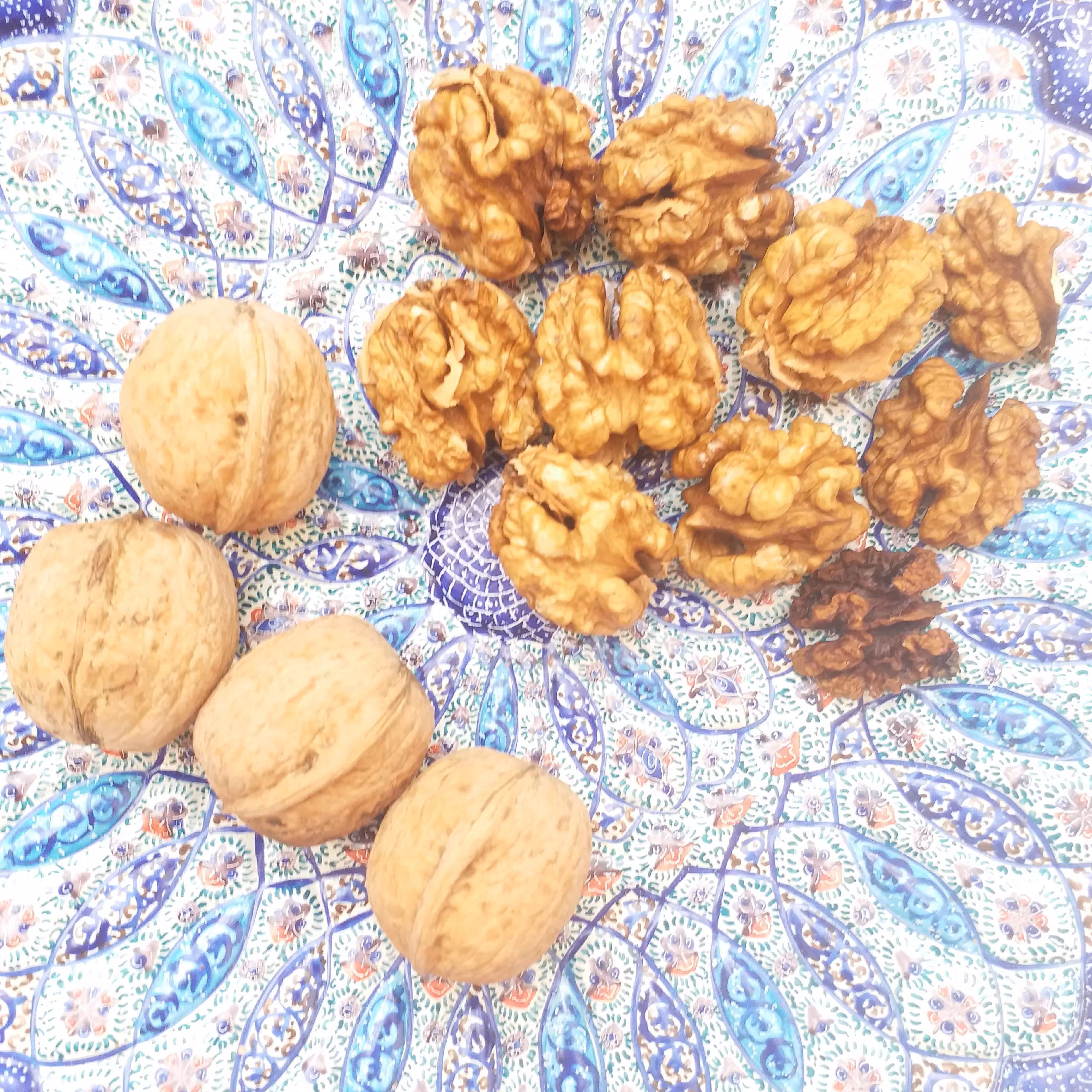 گردو 5کیلویی