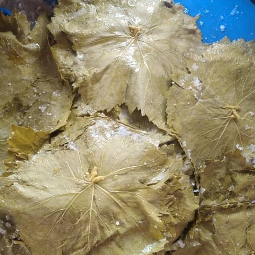 برگ‌ مو شورو  آذربایجان