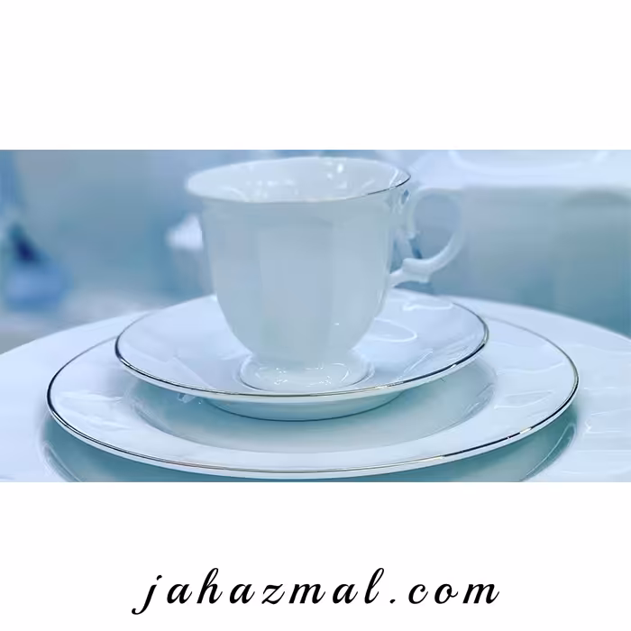 سرویس چینی زرین طرح سمن 29 پارچه (سفید لب نقره)