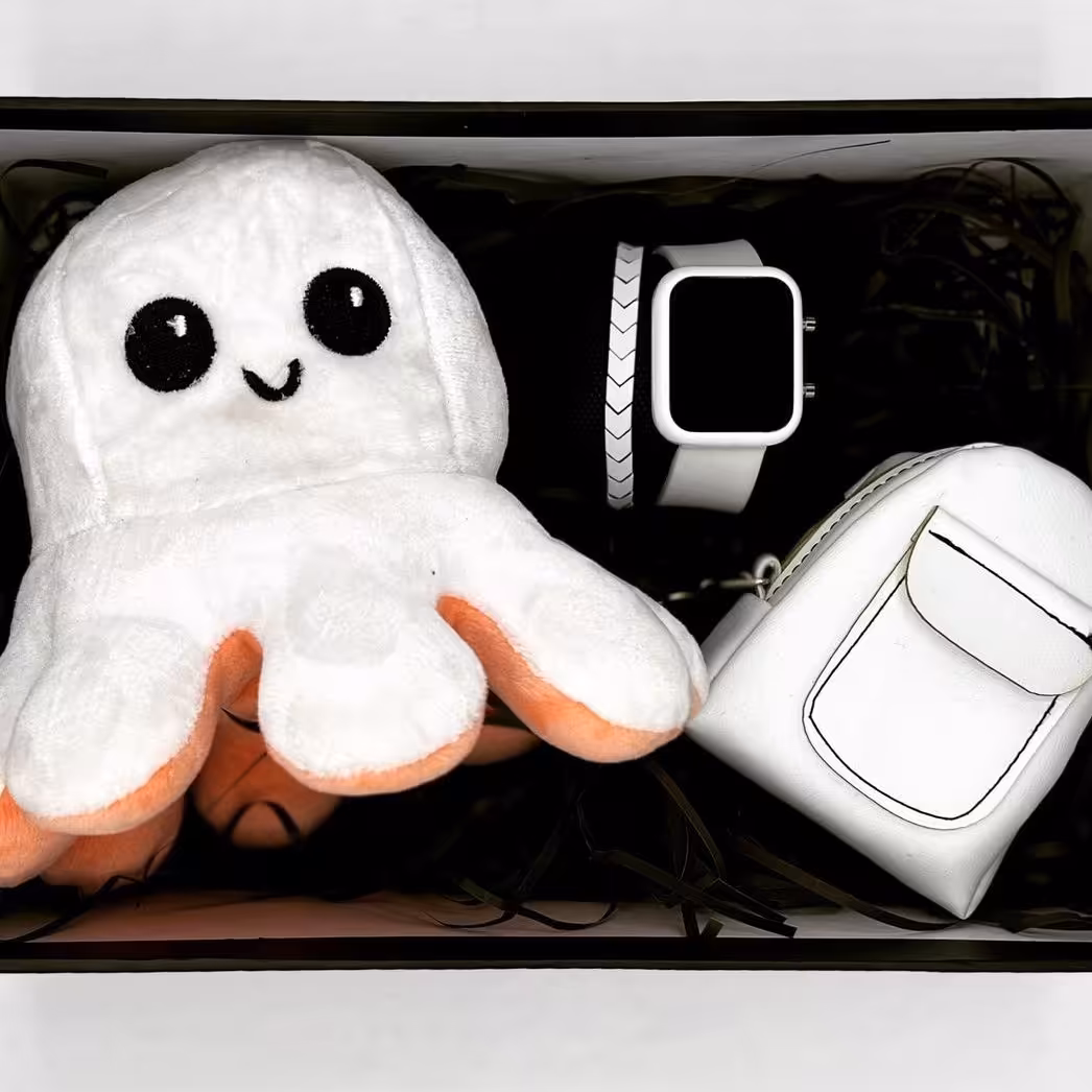 باکس هدیه ساعت کیف عروسک مودی اختاپوس پک هدیه لوکس و شیک 