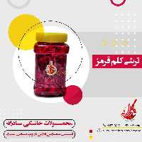 ترشی کلم قرمز
