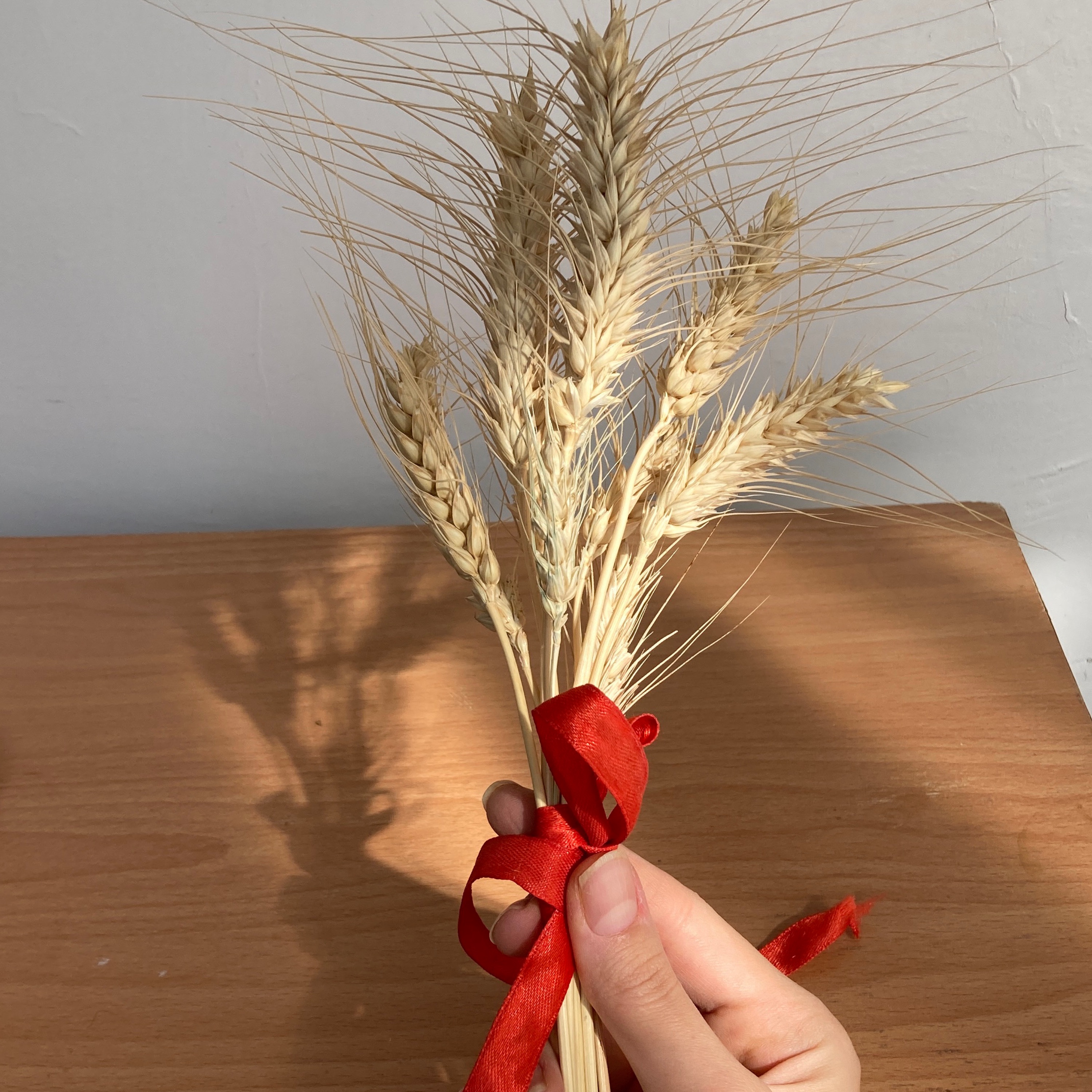 خوشه طبیعی گندم دسته 20 تایی