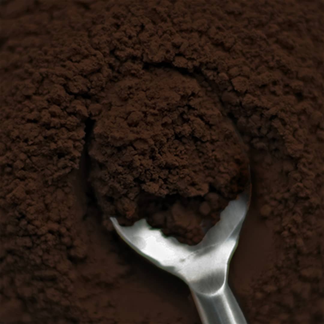 پودر کاکائو 100گرمی Dark