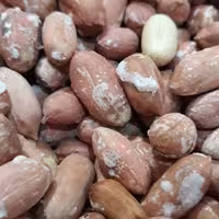 بادام زمینی آستانه شور 100 گرمی