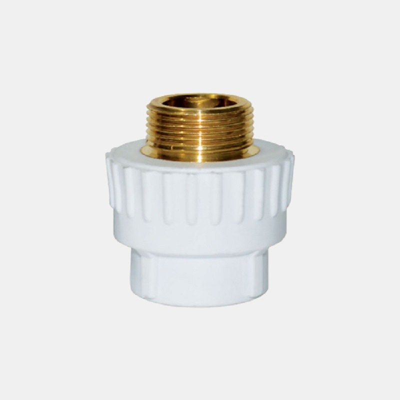 بوشن یک سر مغزی