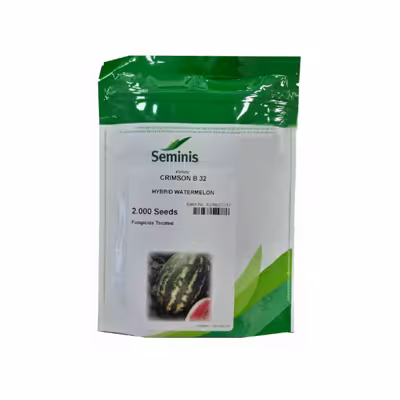 بذر هندوانه هیبرید کریمسون سوئیت بی 32 سمینیس