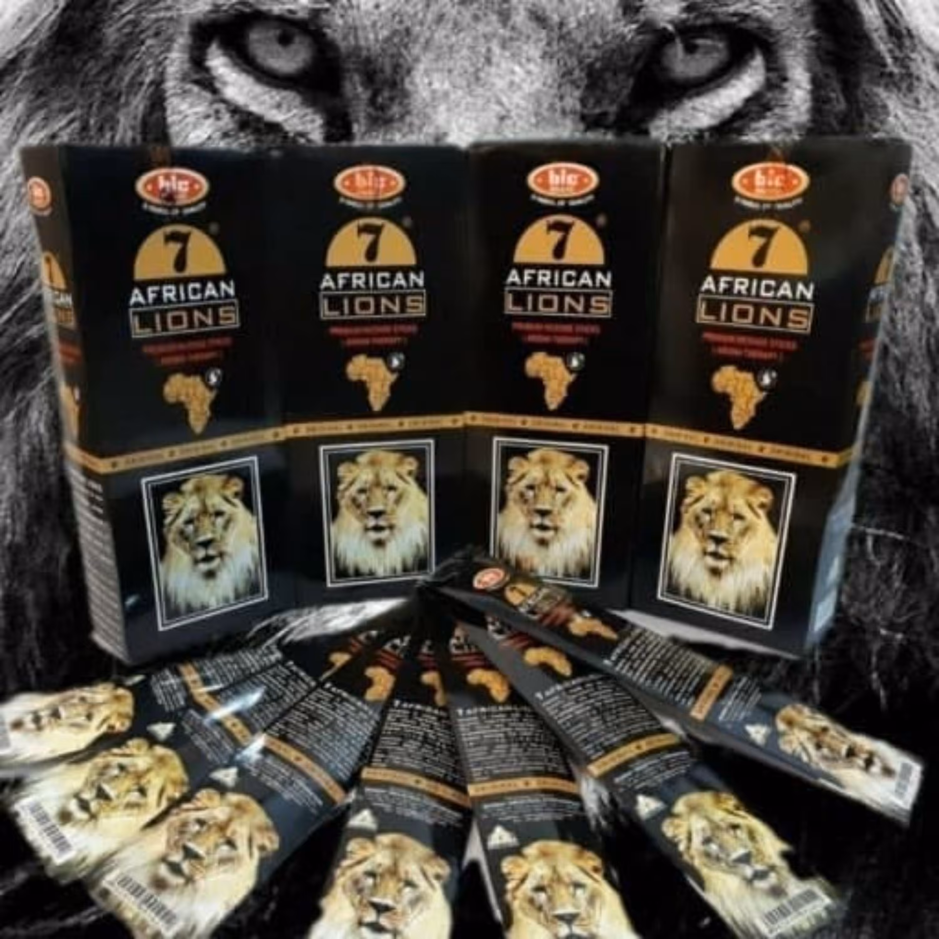 عود شیر اصل (لیون) 7 آفریقایی