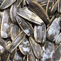 تخمه افتابگردان2 اتیشه (نمکی)250 گرم