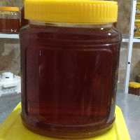 معجون دوسین پلاس