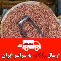 بادام زمینی محلی ریز آستانه اشرفیه (اقتصادی و خوشمزه) 