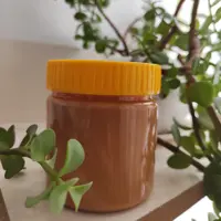 کره بادام زمینی خانگی درجه یک آستانه اشرفیه 300 گرمی