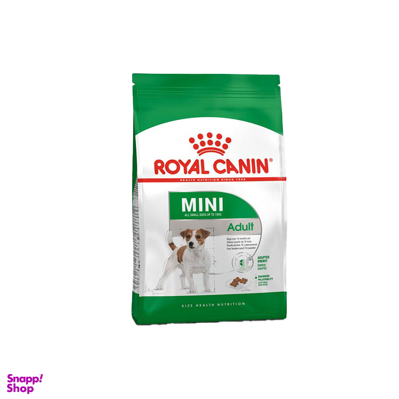 غذای خشک سگ رویال کنین (Royal Canin) مدل Royal Canin Mini Adult وزن 4 کیلوگرم