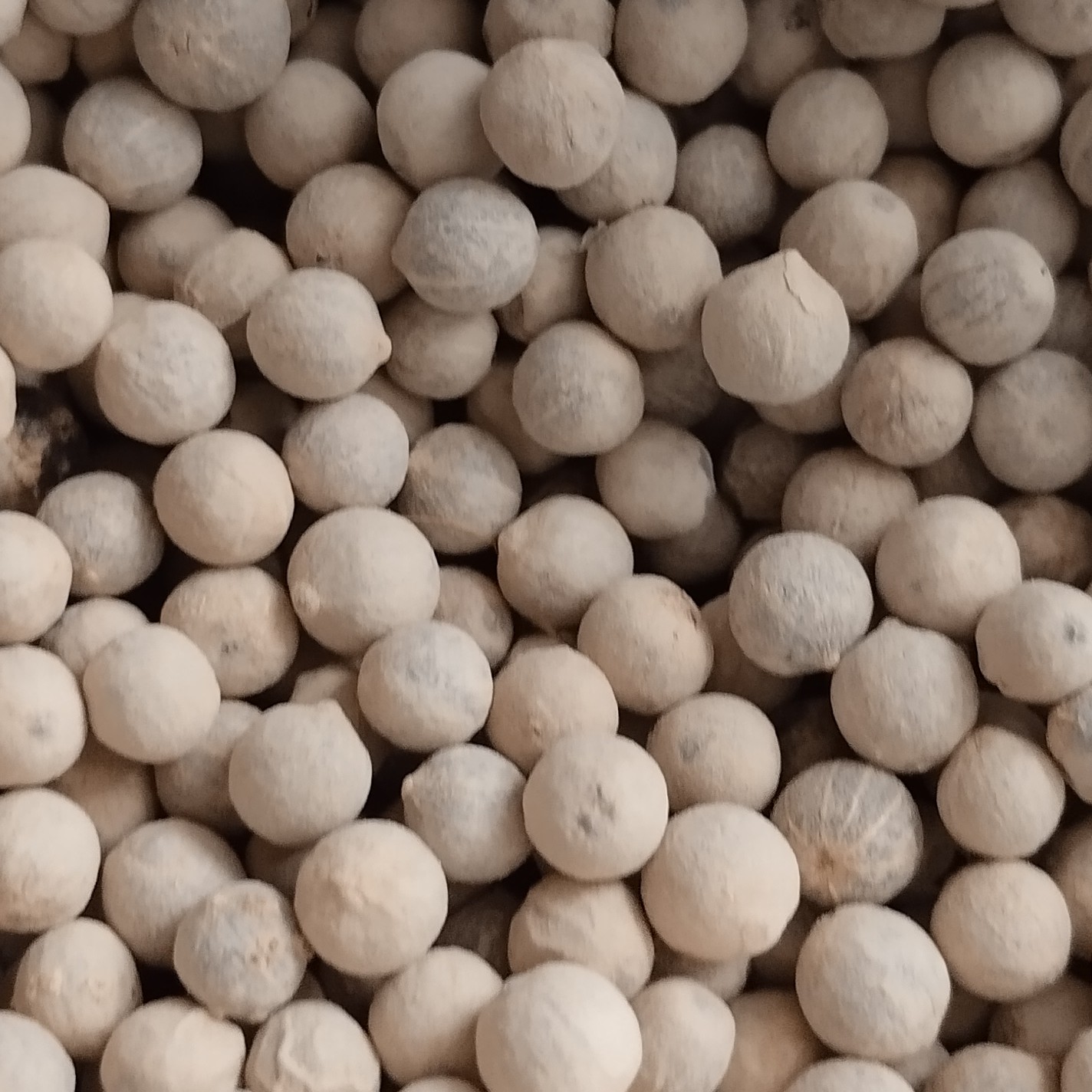 فلفل سفید ویتنامی درخواست شما بروز آسیاب میشه 