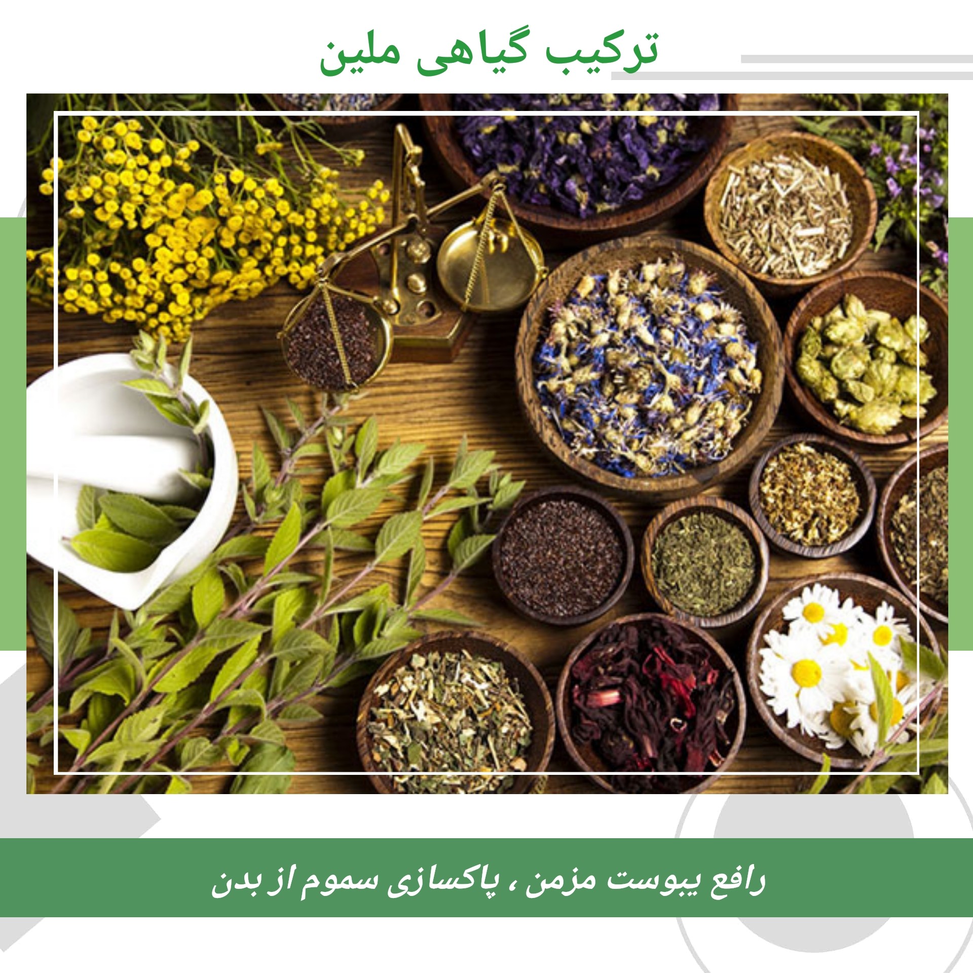ترکیب گیاهی ملین