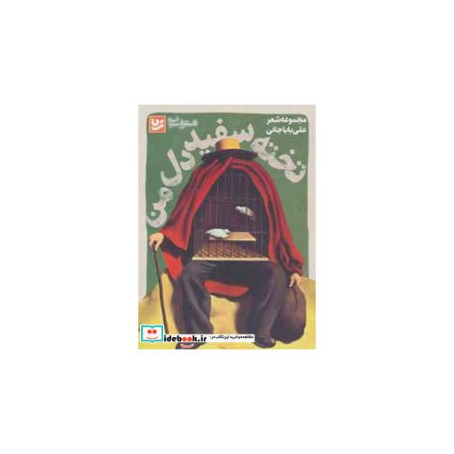 کتاب شعر شباب13 (تخته سفید دل من) اثر علی باباجانی