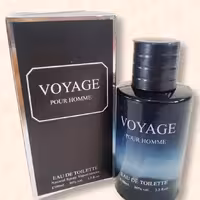 ادوتویلت مردانه Voyage وویج (مشابه ساواج)
