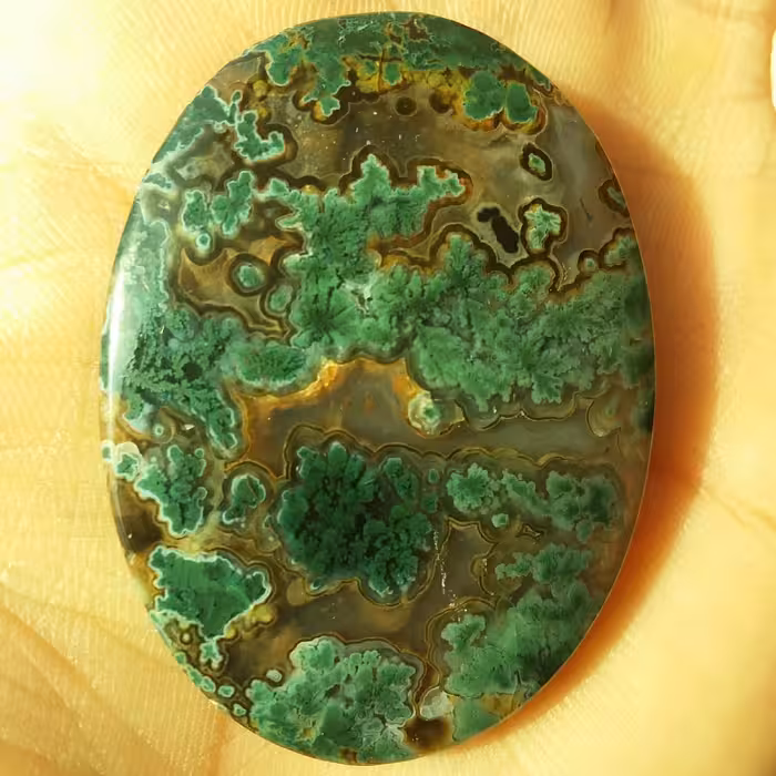 نگین غولپیکر عقیق شجر سبز فوق العاده پولیش آیینه ای طبیعی سایز بسیار درشت مدالی محششر