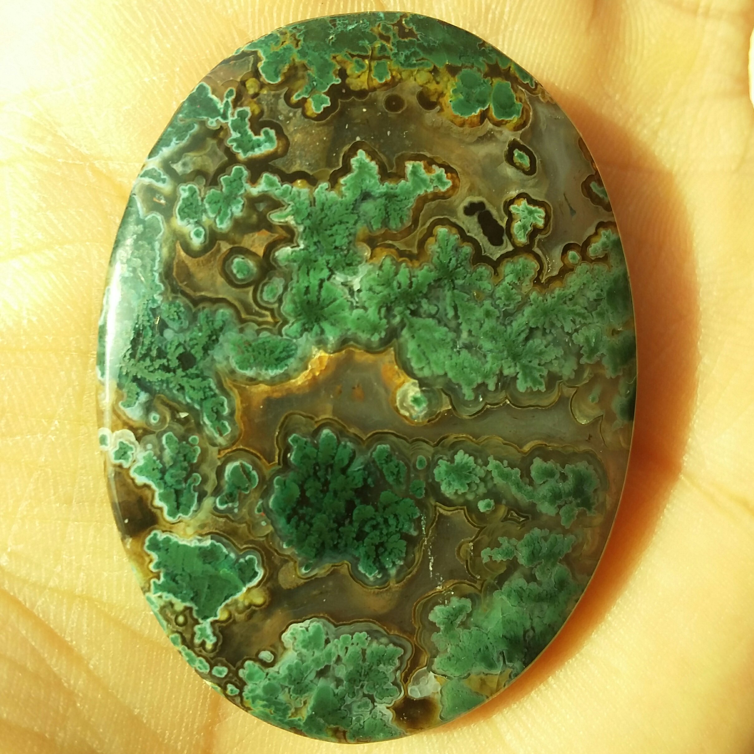 نگین غولپیکر عقیق شجر سبز فوق العاده پولیش آیینه ای طبیعی سایز بسیار درشت مدالی محششر