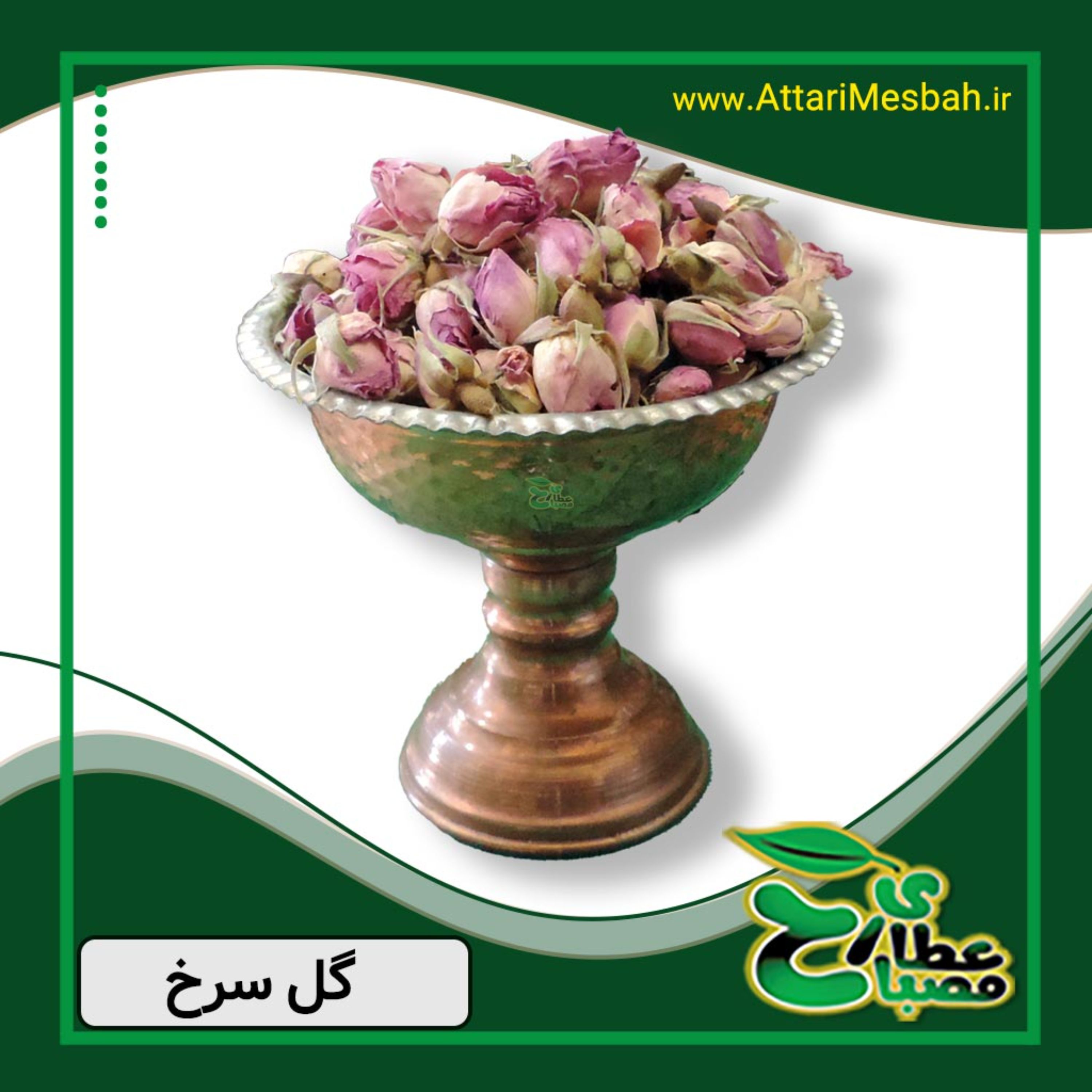 غنچه گل محمدی - گل سرخ