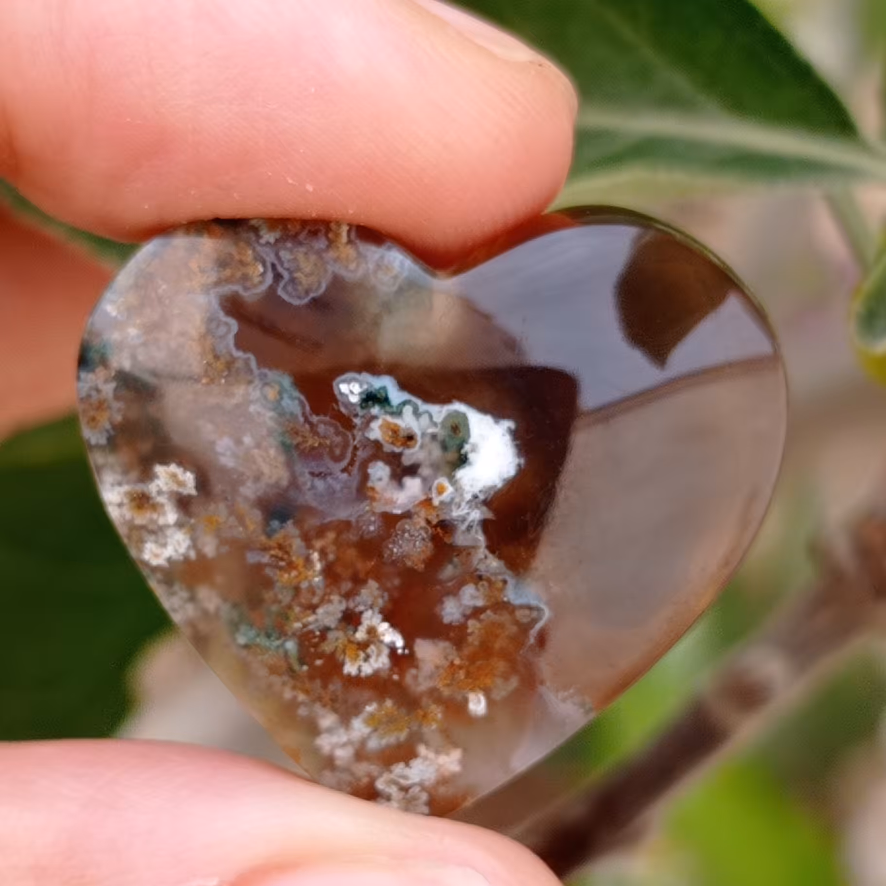 قلب عقیق شجر