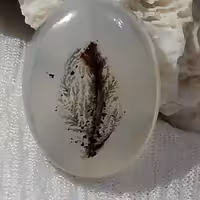 نگین شجرقائنات بینظیر و ناب