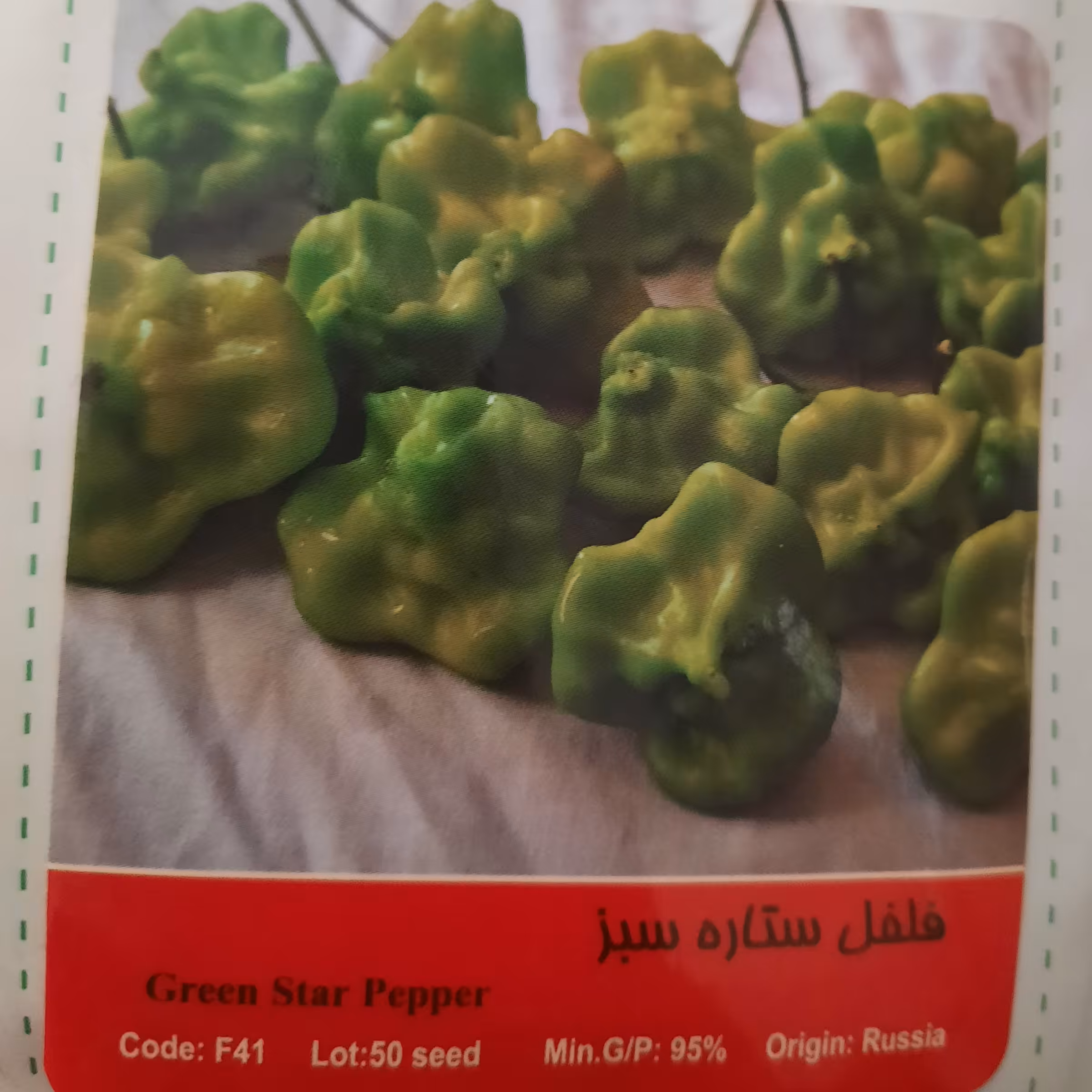 بذر فلفل ستاره سبز