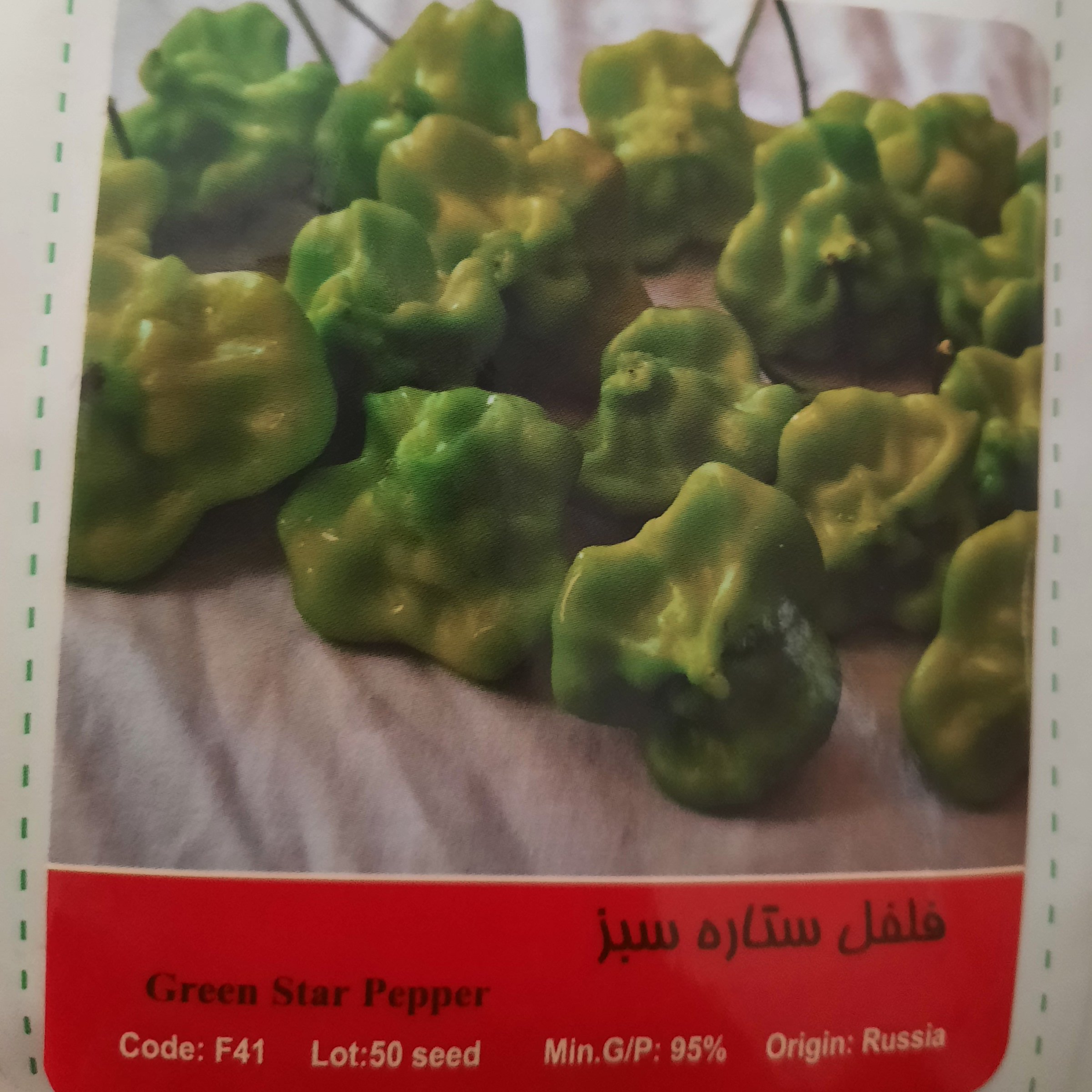 بذر فلفل ستاره سبز