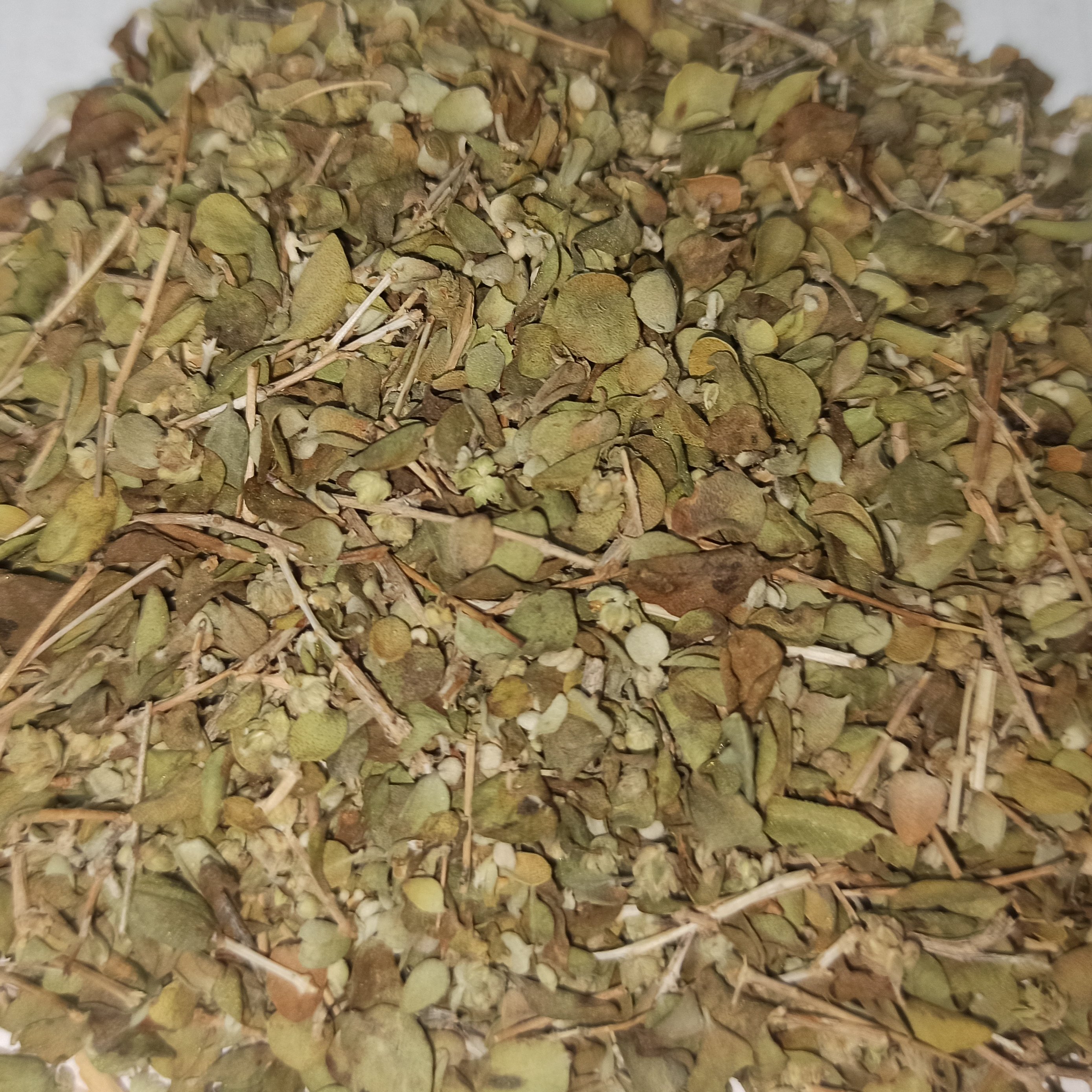 آویشن برگ پهن