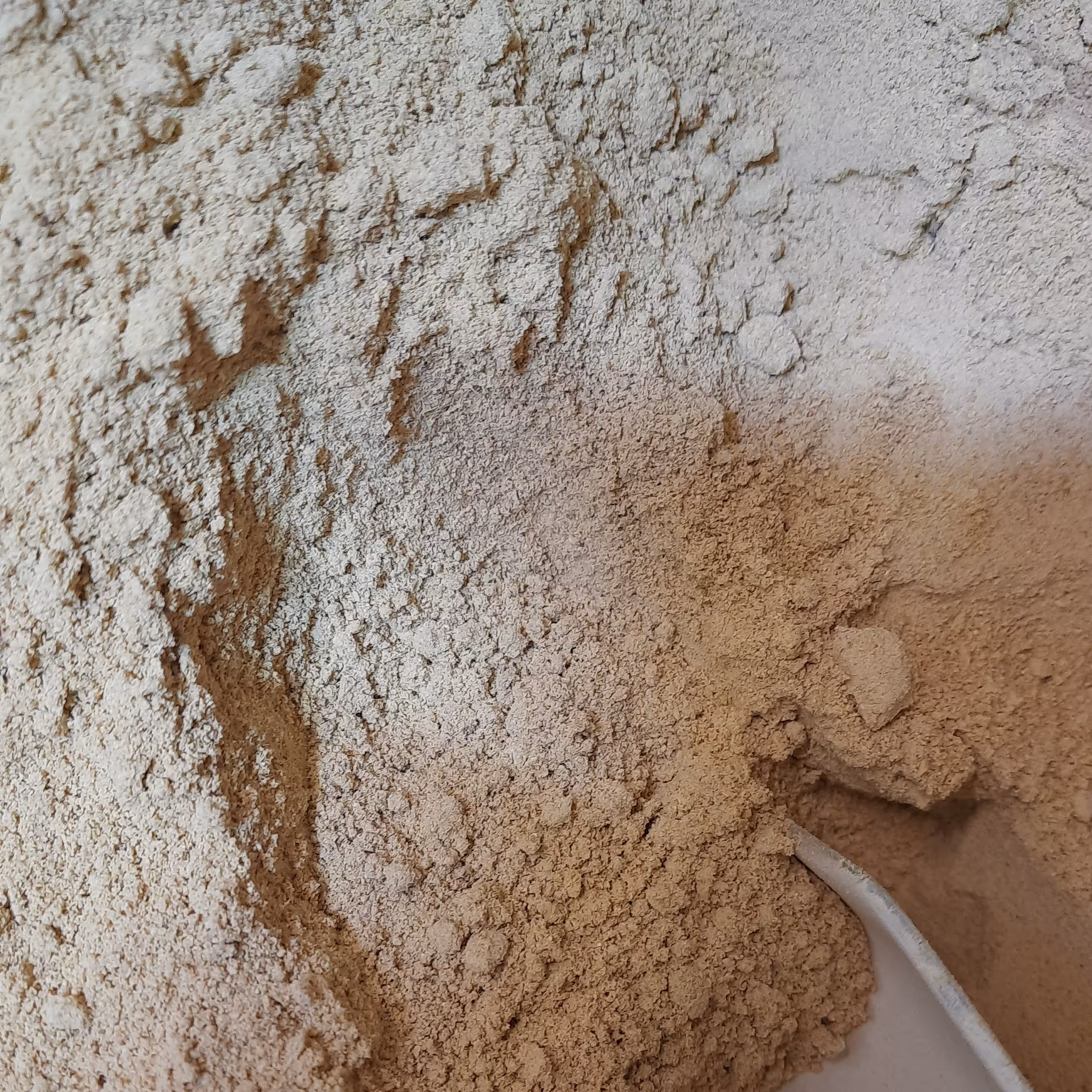 زنجبیل 50 گرمی