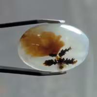 نگین عقیق شجر قائن اصل بسیار زیبا مناسب ساخت انگشتر و...