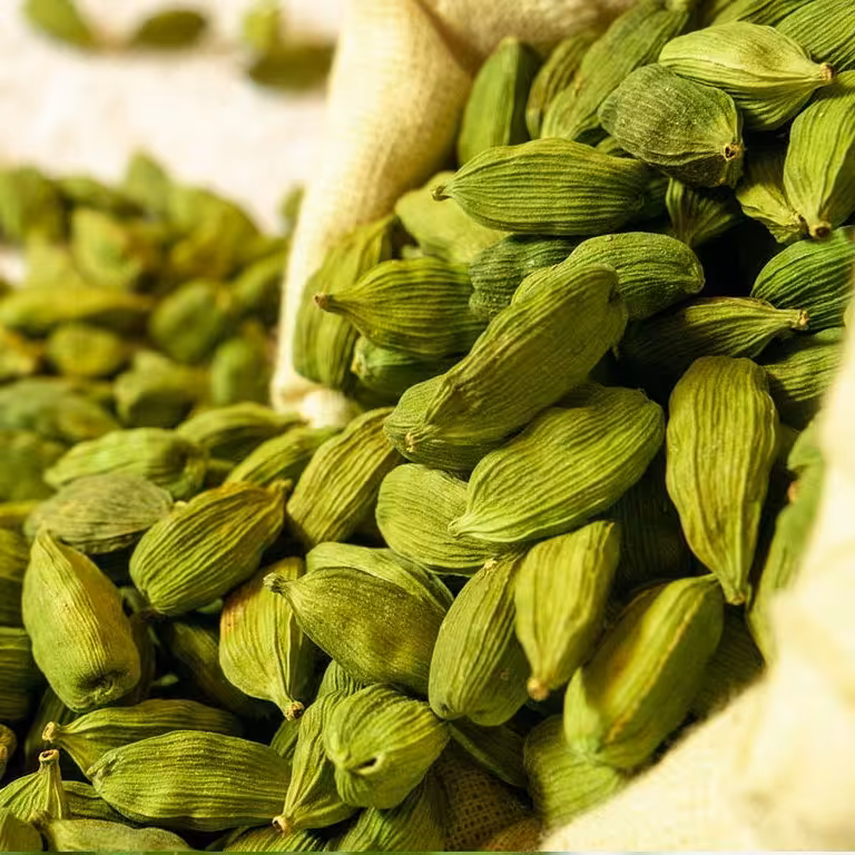 بسته 10 گرمی  هل اکبر بنفش