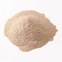 چای ماسالا رژیمی 100 گرمی حاج ابوتراب