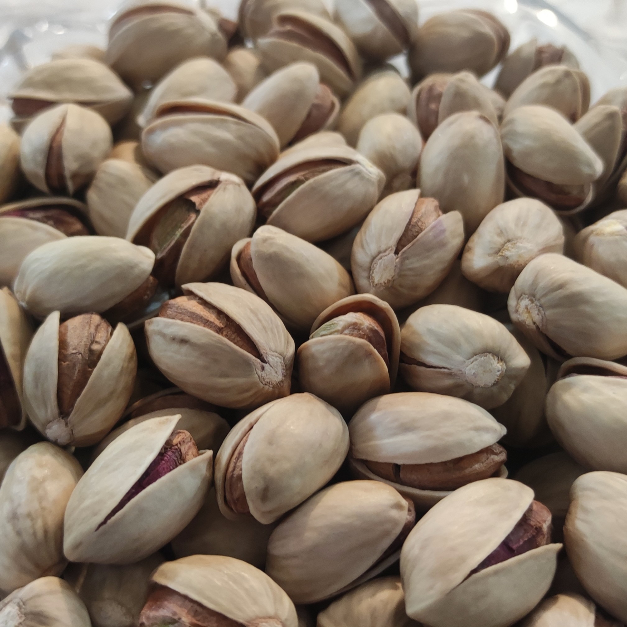 پسته فندقی اعلا، خام و تازه (عمده)