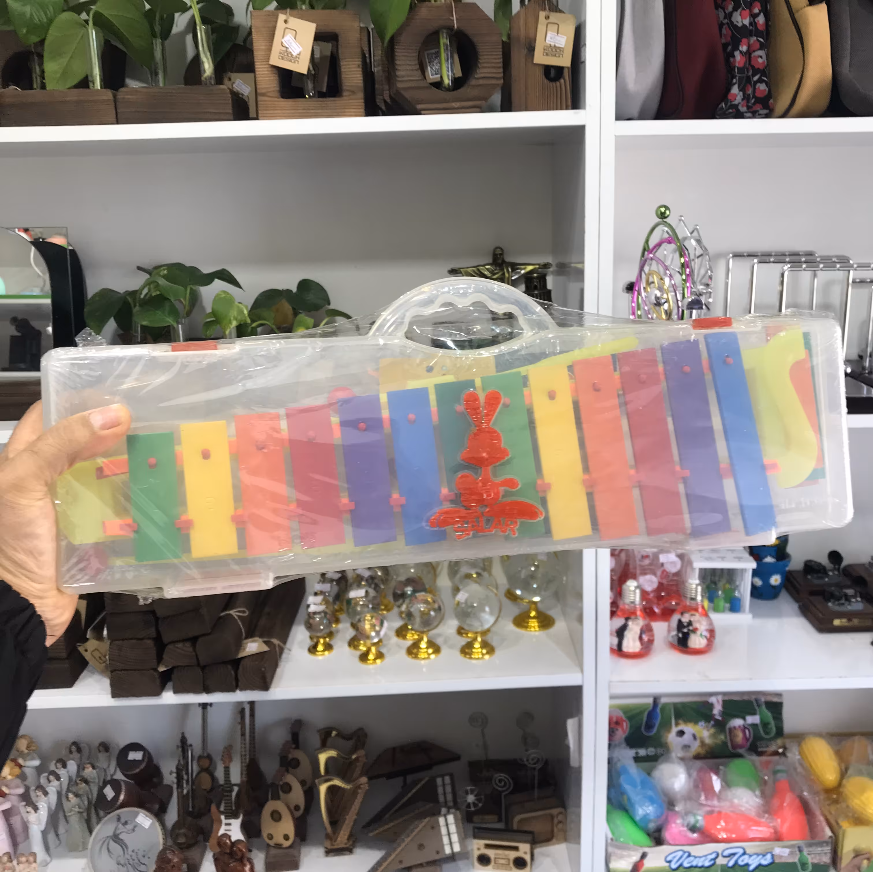 بلز B16 سالار