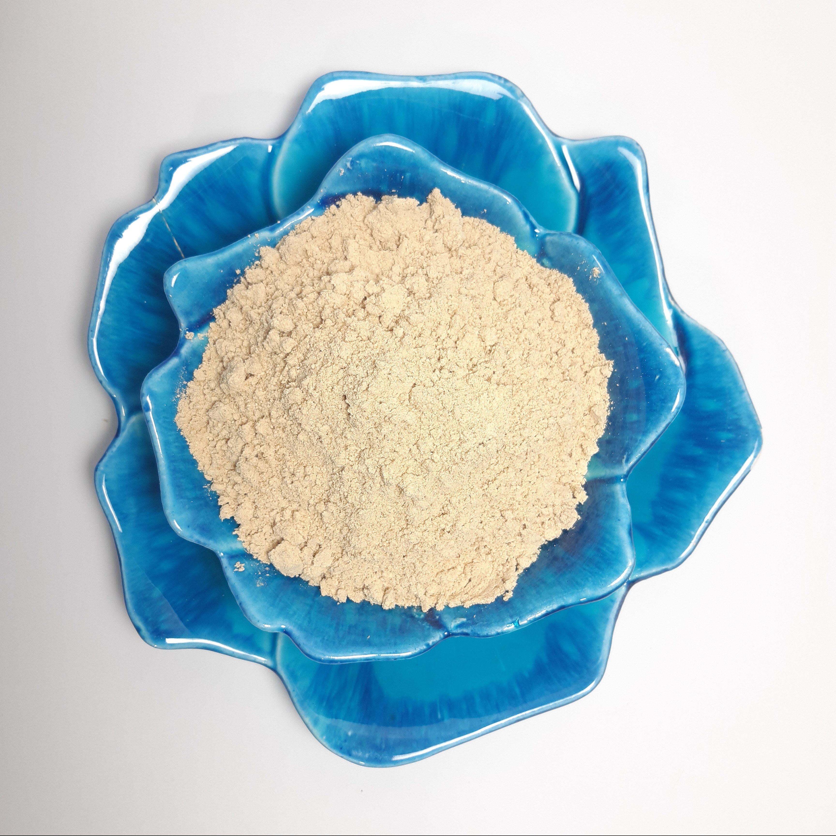 پودر زنجبیل