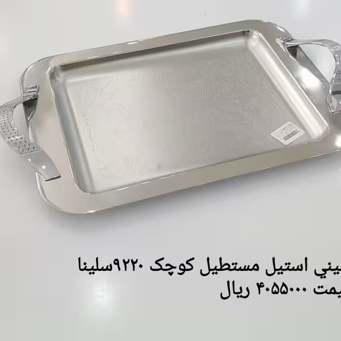 سینی استیل نگیر ضد زنگ سایز متوسط سینی طرحدار