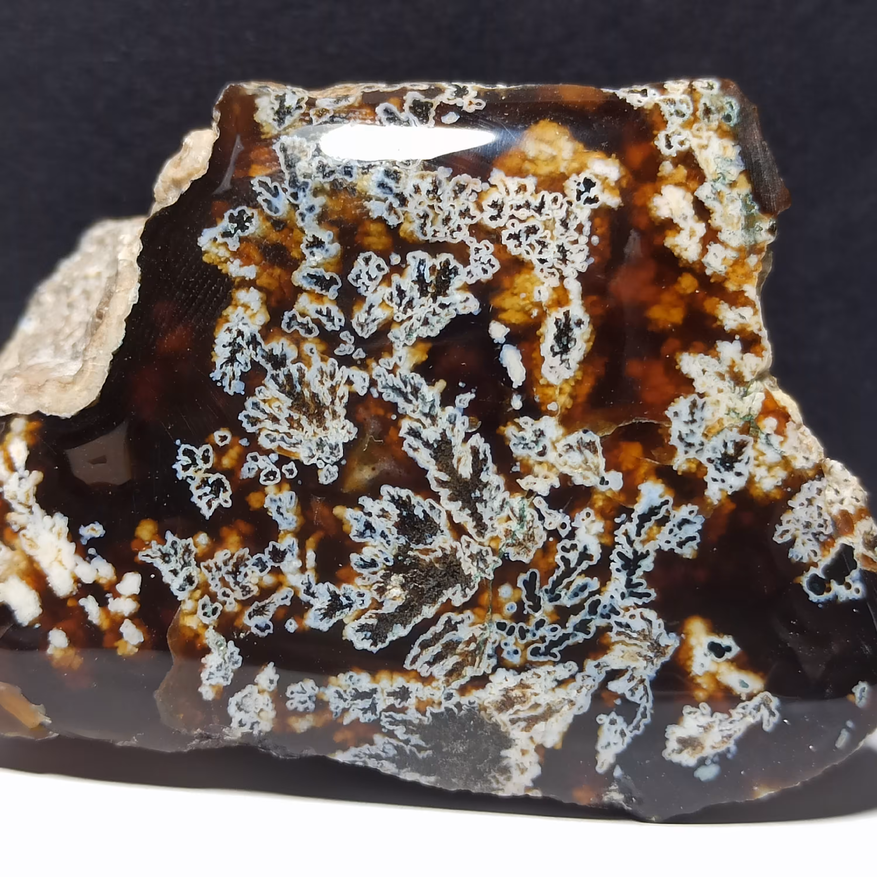 سنگ کلکسیونی و تزیینی شجر سنگ شجر منظره طبیعی و اصل معدنی