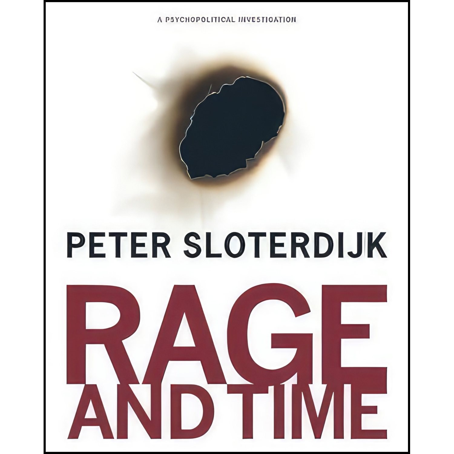 کتاب زبان اصلی Rage and Time اثر Peter Sloterdijk and Mario Wenning