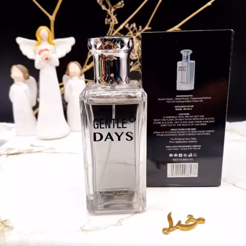 ادکلن مردانه GENTLE DAYS حجم 100ML