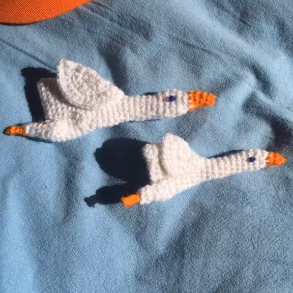 پیکسل مرغابی قلاب بافی