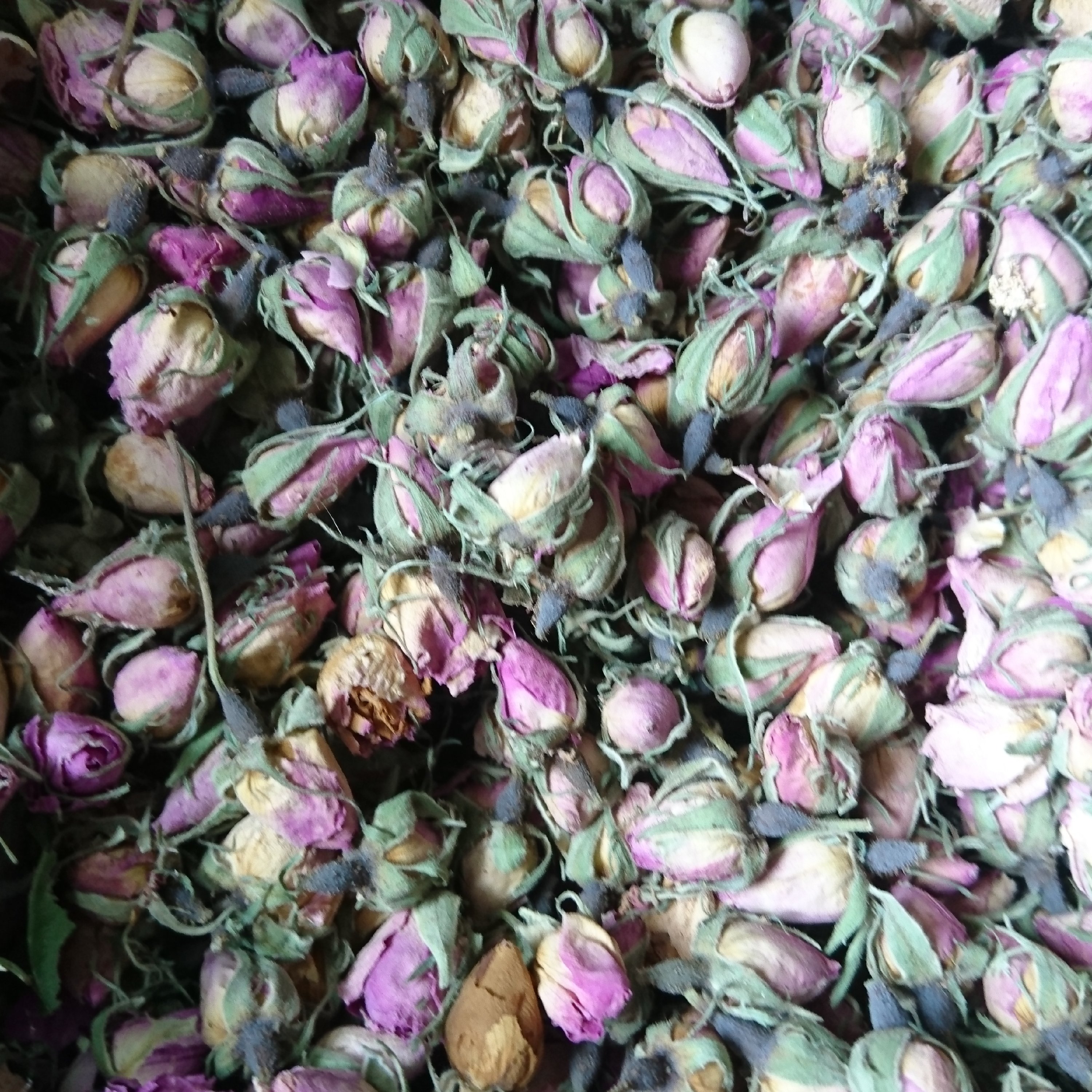 غنچه گل محمدی 100 گرمی