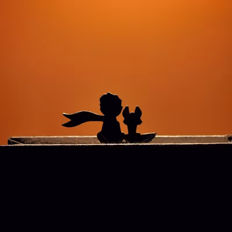 نشانگر کتاب بوک مارک طرح شازده کوچولو گیره ای رنگ مشکی