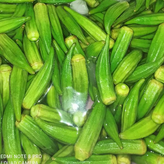 بامیه500 گرمی سبز فرنچ شده خرداد 1402