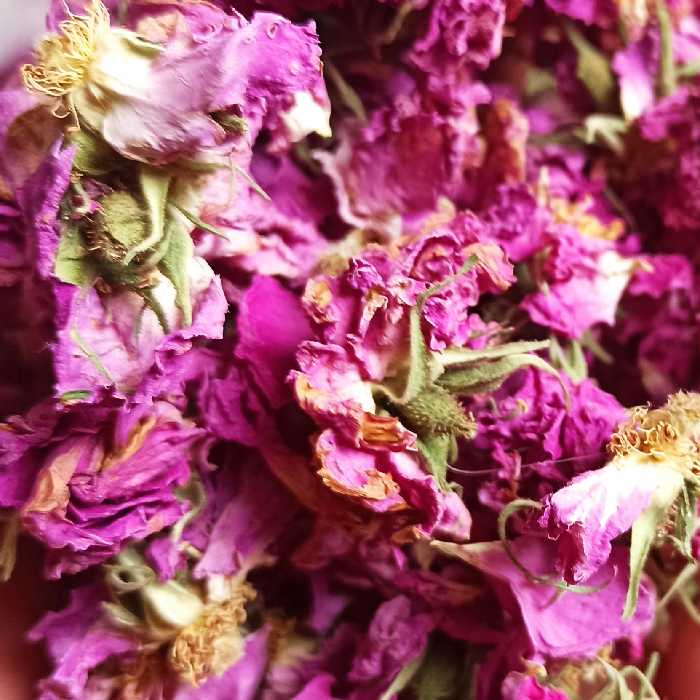 گل محمدی یک کیلویی